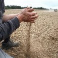 Les agriculteurs en proie à une sécheresse précoce Le déficit pluviométrique engendre des conséquences sur l’irrigation et sur les récoltes. Les cours du blé et du maïs suivent une pente ascendante.
