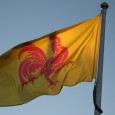 Belgique: la Wallonie, lanterne rouge de l’économie La Belgique présente une situation économique relativement satisfaisante après un an de crise politique, mais peine à conduire les réformes nécessaires à sa compétitivité.