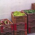 La Chine se joue de la crise. Les dépenses alimentaires sont contraintes, mais de nombreuses initiatives sont prises. Deux grands thèmes à la Une de la presse…