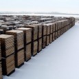 La chute des températures, le gel et la neige pénalisent de nombreuses entreprises (ou presque). 