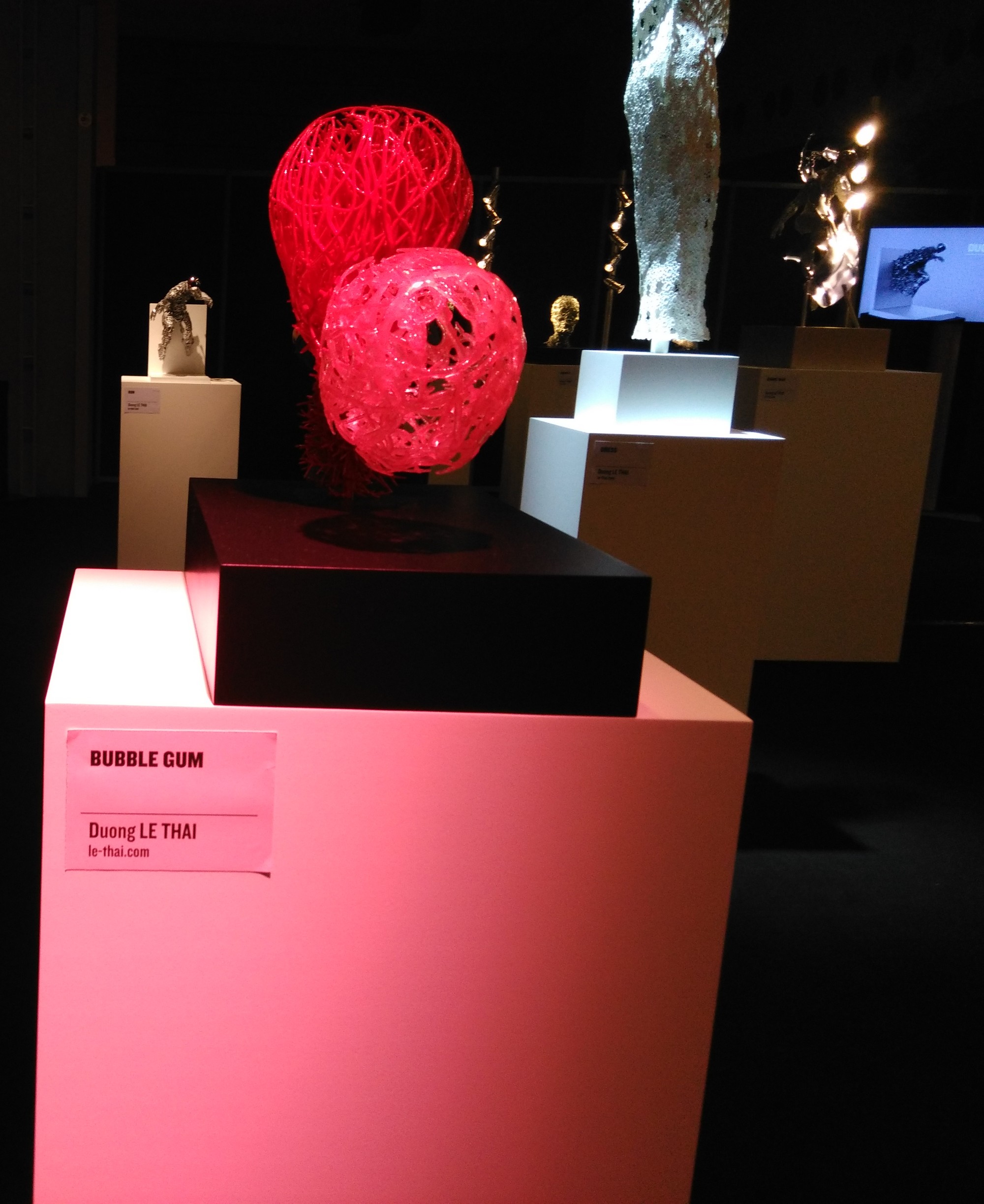 Duong Le Thai - 3D Printshow Paris (7)