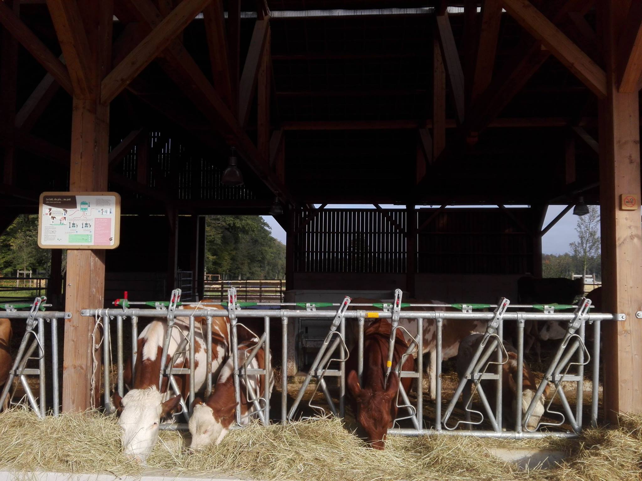 La Ferme Bellevue - Villages Nature Paris