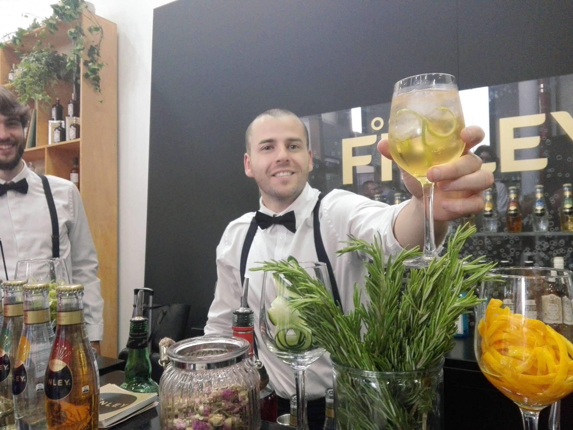 Vodka Zubrowka - Cocktails Spirits 2018