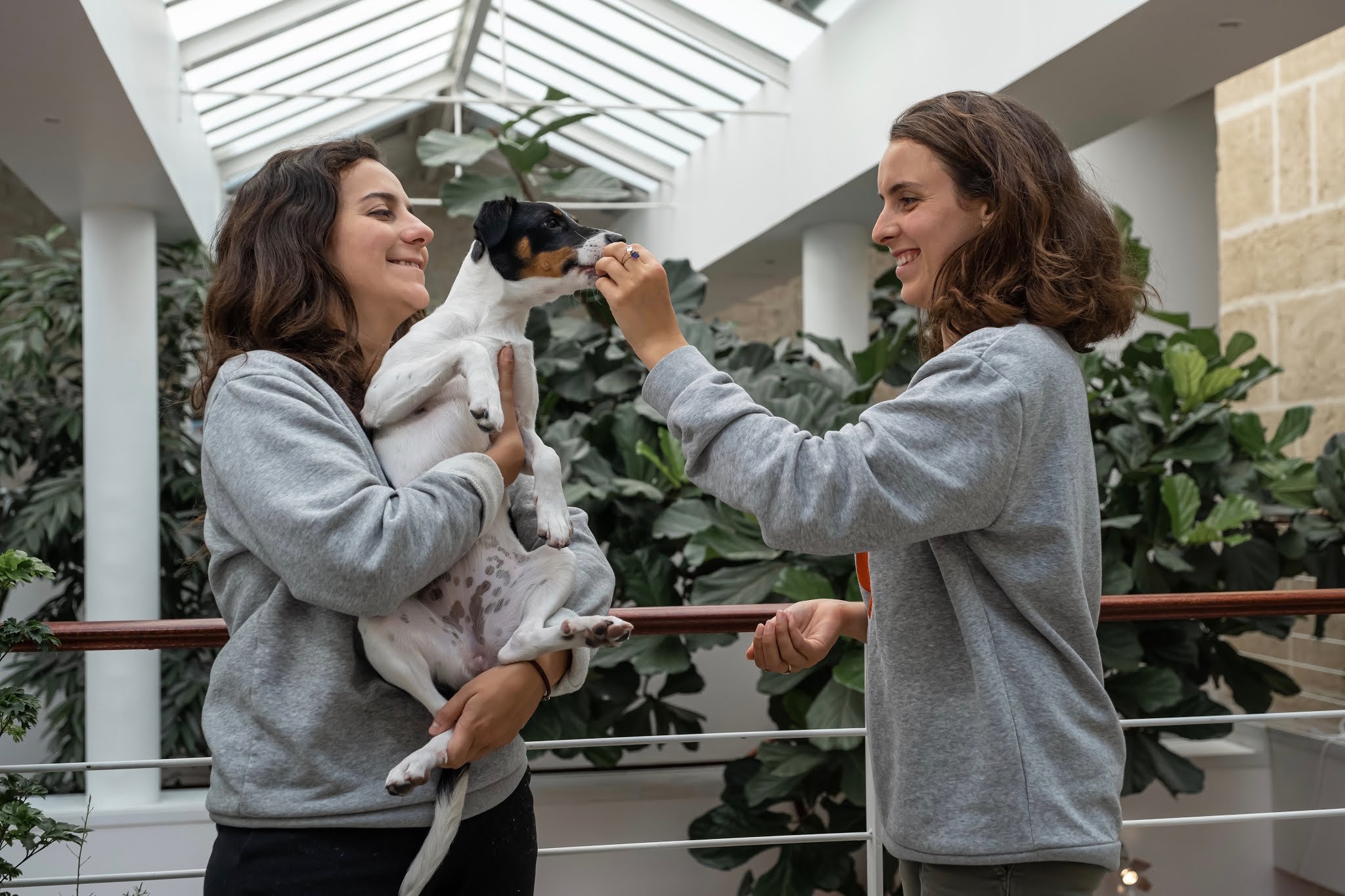 Madeleine Morley et Paola Teulières - Tomojo