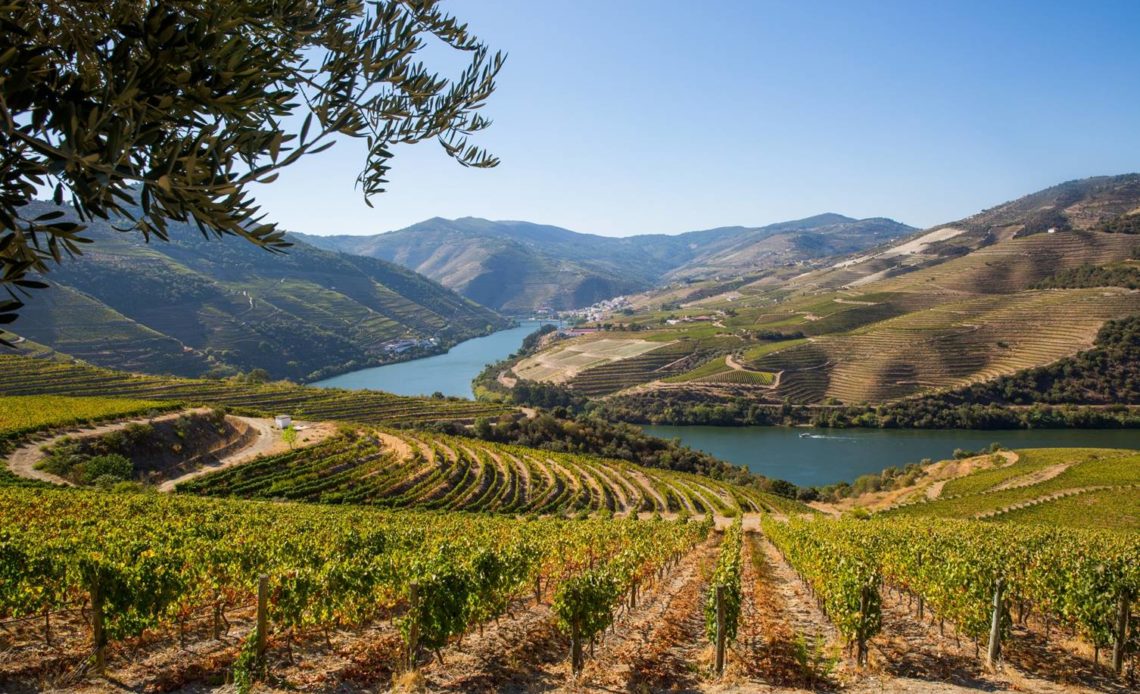 Cruz - Vallée du Douro (Portugal)