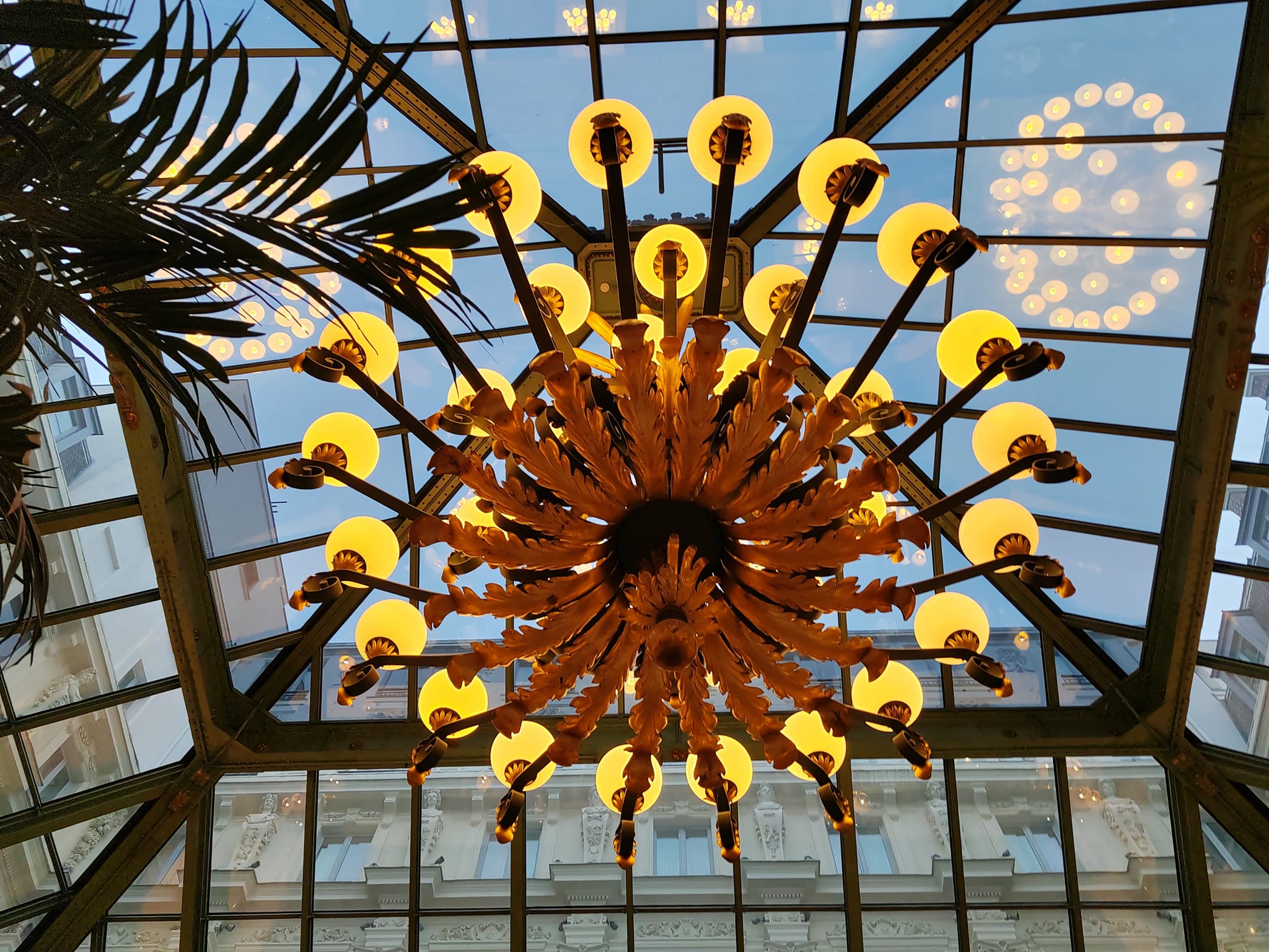 Verrière du jardin d'hiver - Le Grand goûter - Tea time de l’hôtel InterContinental Paris Le Grand