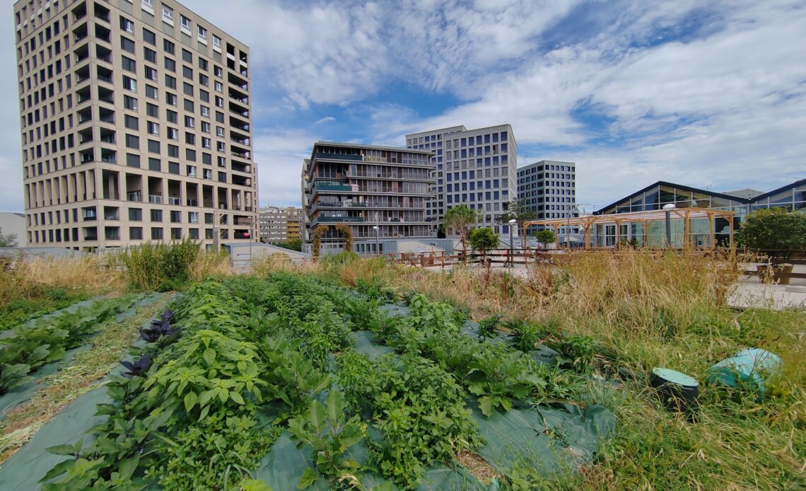 Plantation Paris - Ferme urbaine de la porte de la Chapelle, à Paris
