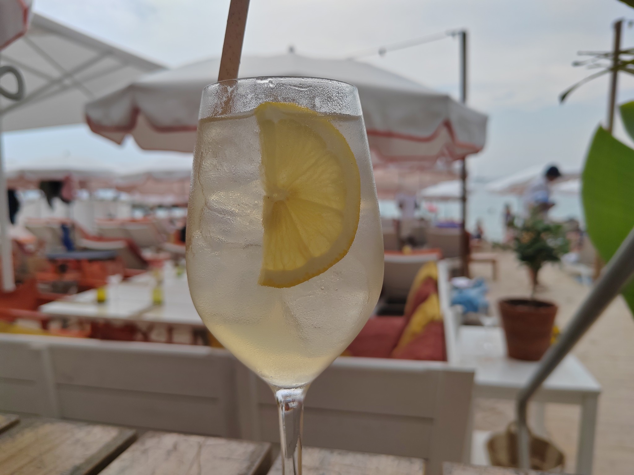 Cool Citrus - Bijou Plage Experimental - Cannes (été 2025)