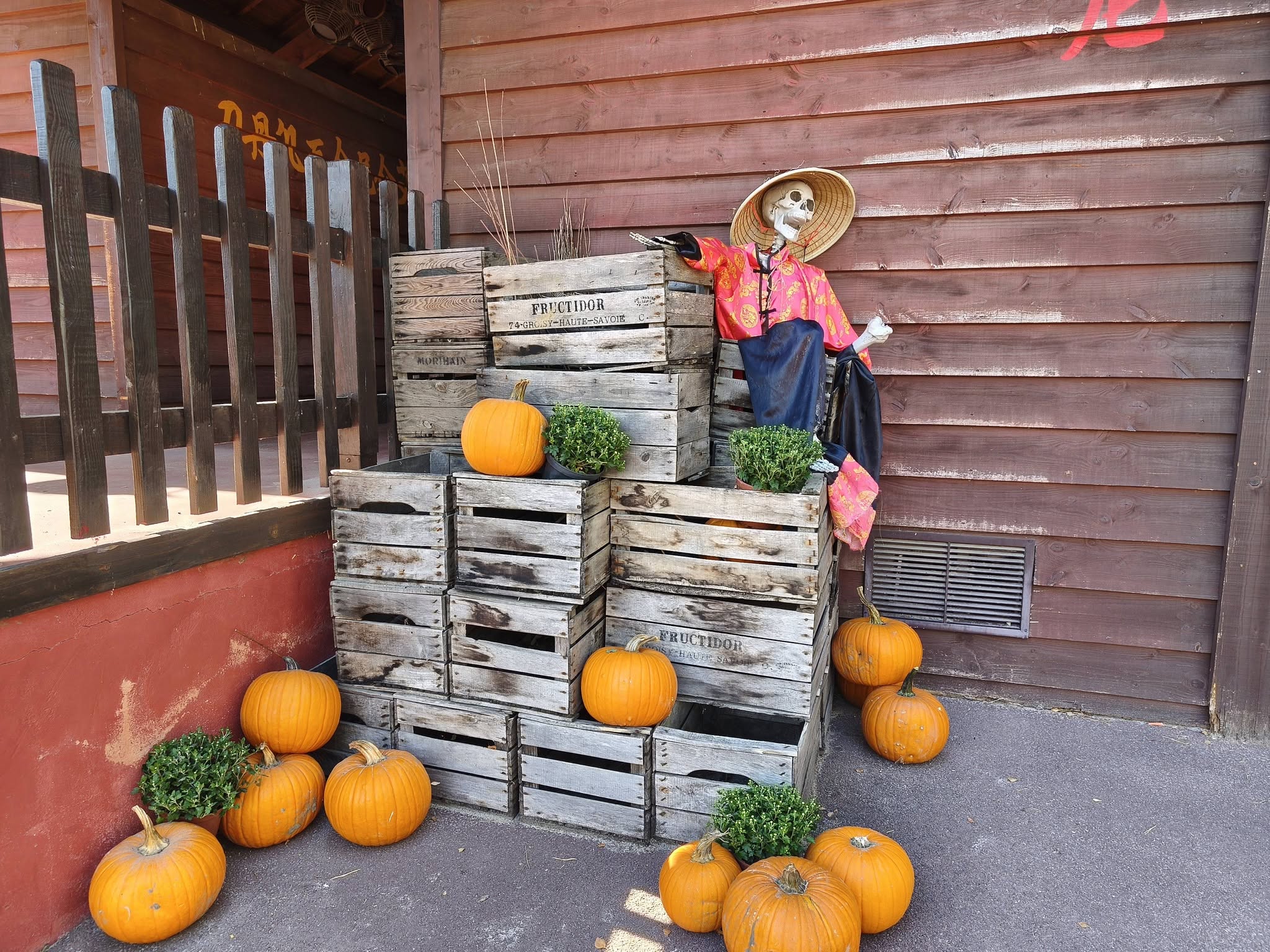 La Mer de Sable - Halloween 2026 - Décors