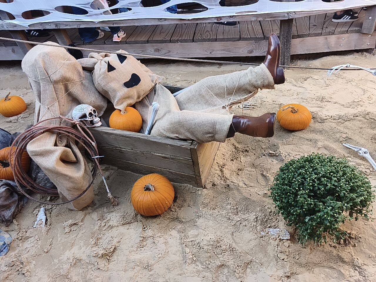 La Mer de Sable - Halloween 2026 - Décors